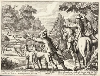 Coursing Fallow Deer